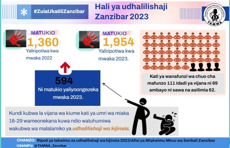 TAMWA ZNZ recommends strategies to combat GBV in Zanzibar.